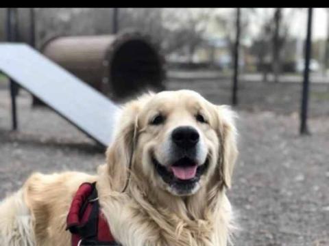 post-18473 thumbnail