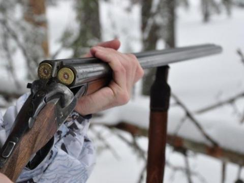 post-19848 thumbnail