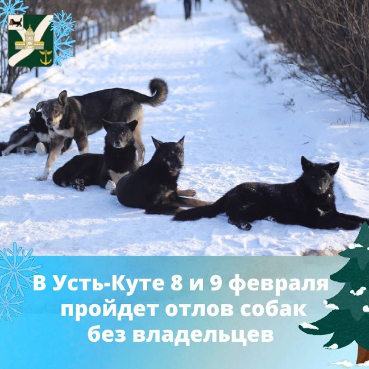 post-20754 thumbnail