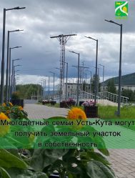 post-22523 thumbnail