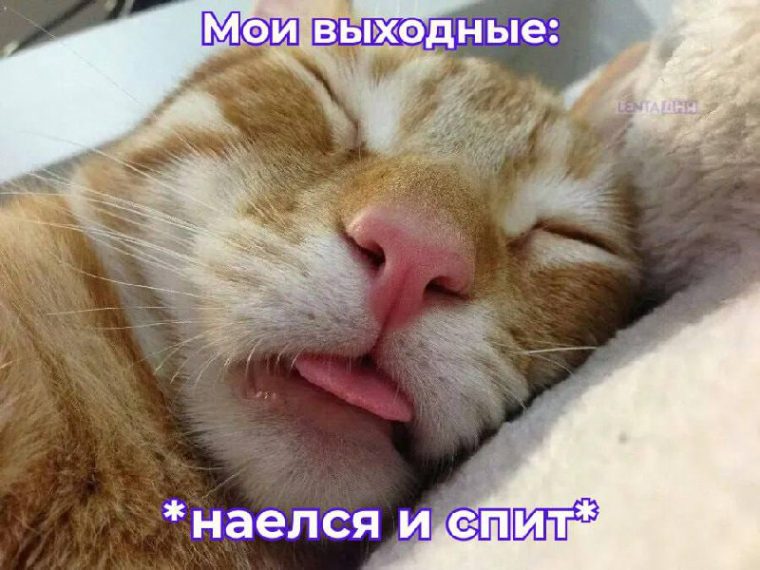 post-23753 thumbnail