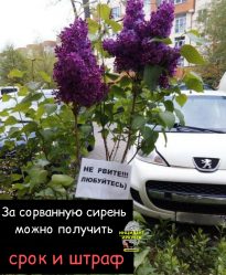 post-24773 thumbnail