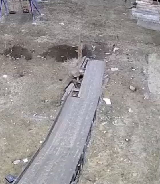 post-24384 thumbnail