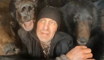 post-24261 thumbnail