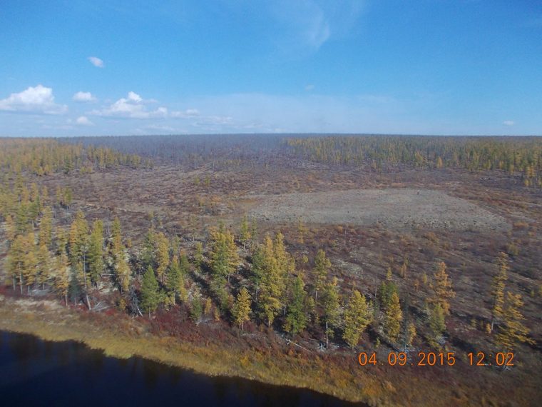 post-25157 thumbnail