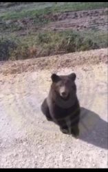 post-25985 thumbnail