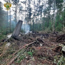 post-28021 thumbnail