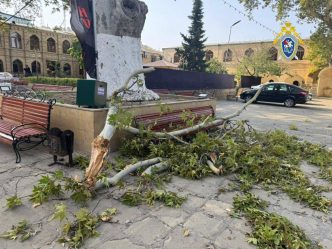 post-28435 thumbnail