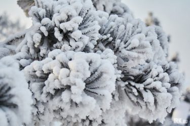 post-32806 thumbnail