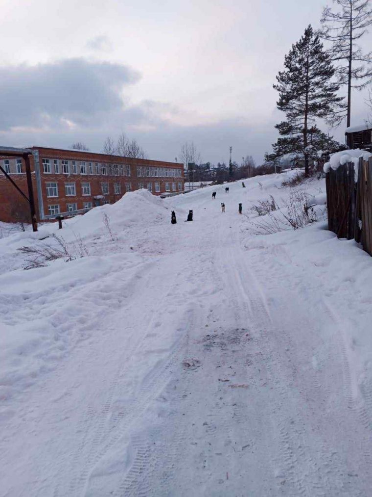 post-34657 thumbnail